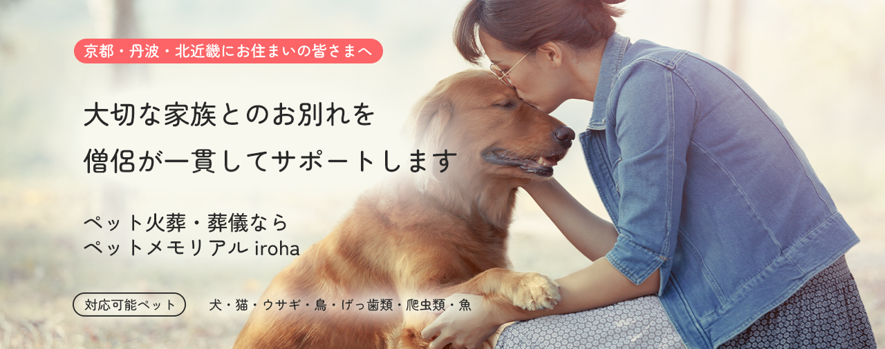 iroha_lp_top_a_v1