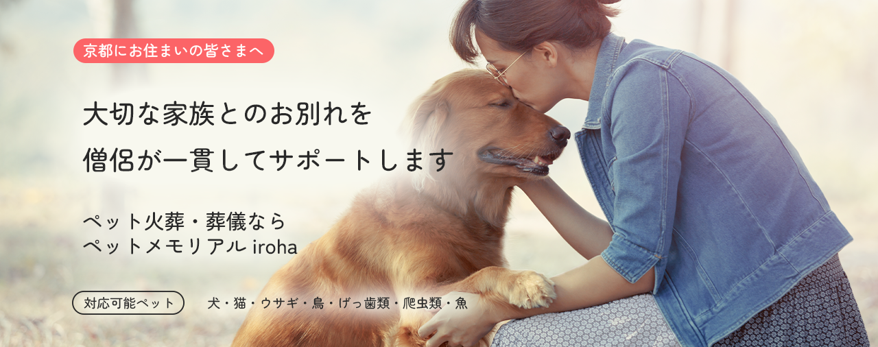 iroha_lp_top_a_v2