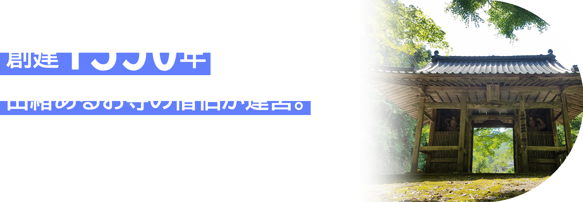 reason1