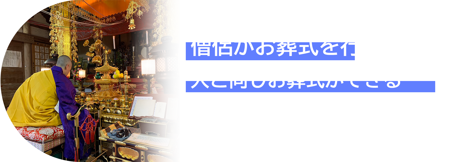 reason2_